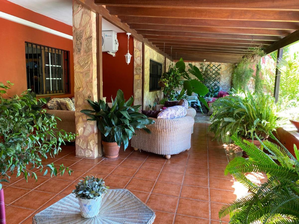 Casa Lazaro, Tegueste Exteriér fotografie