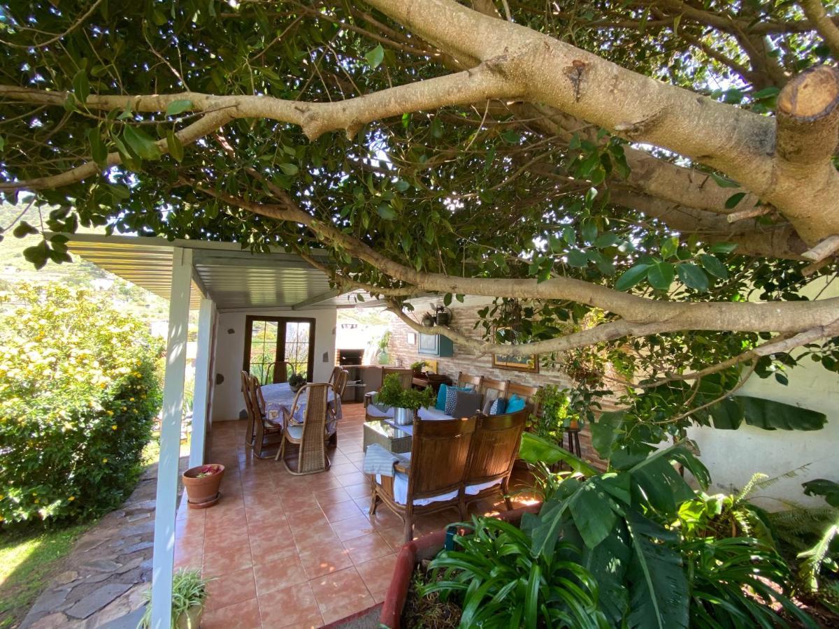 Casa Lazaro, Tegueste Exteriér fotografie