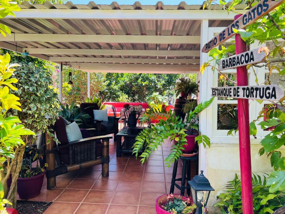 Casa Lazaro, Tegueste Exteriér fotografie